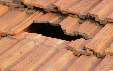 roof repair Pinwherry, South Ayrshire